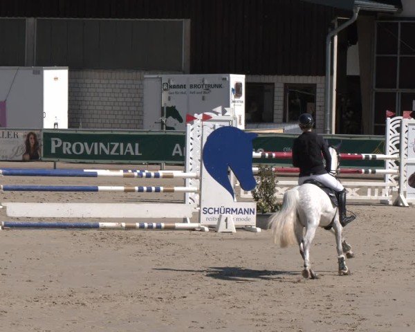 Reitturnier Olfen 2025
