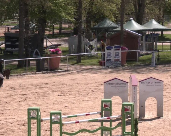 Internationales Springturnier Stadl-Paura 2025