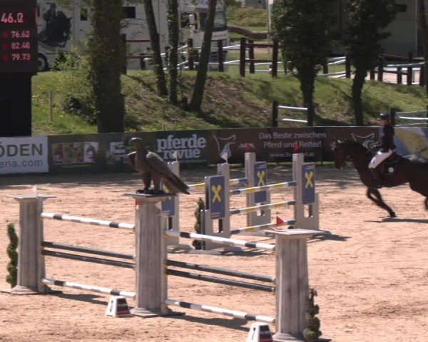 Internationales Springturnier Stadl-Paura 2025