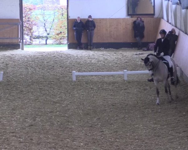 Reitturnier Datteln 2021