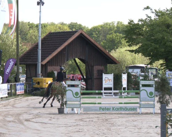Reitturnier Nienberge 2025