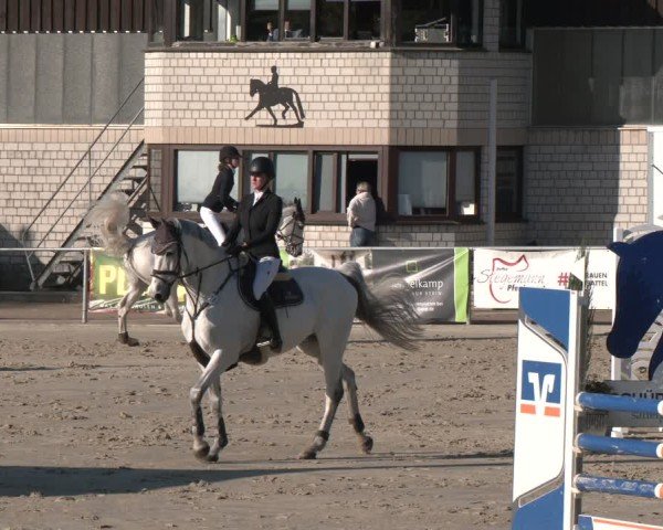 Reitturnier Olfen 2025