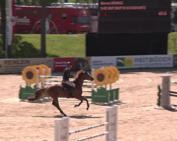Internationales Springturnier Stadl-Paura 2025