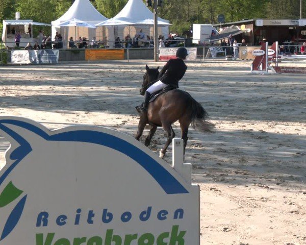 Reitturnier Olfen 2025