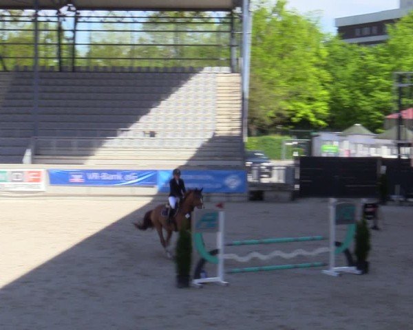 Reitturnier Aachen 2025