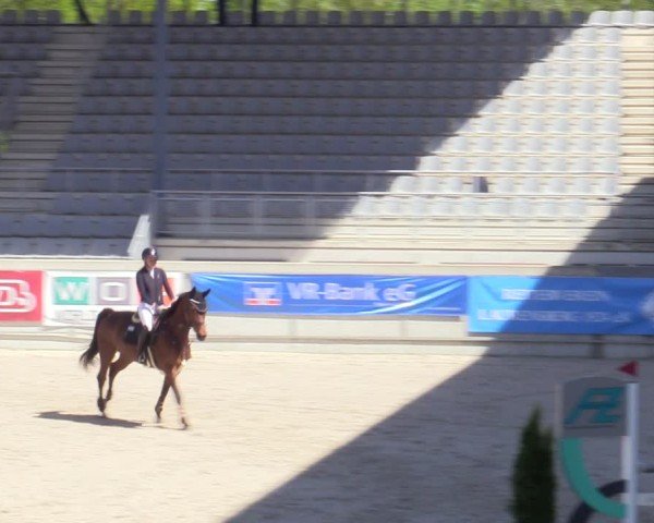 Reitturnier Aachen 2025
