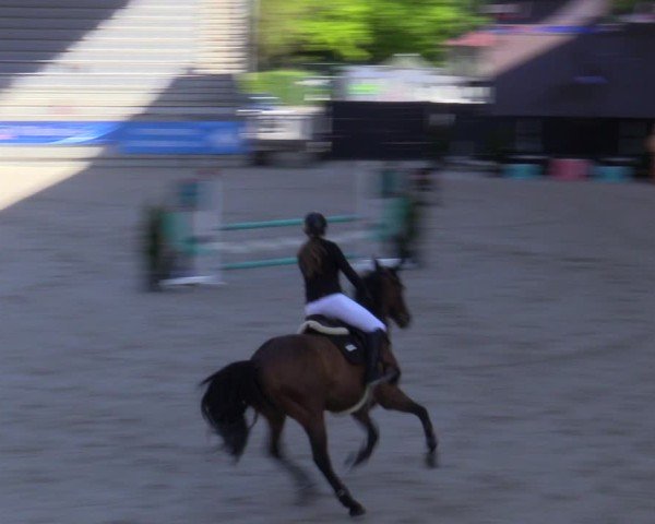 Reitturnier Aachen 2025