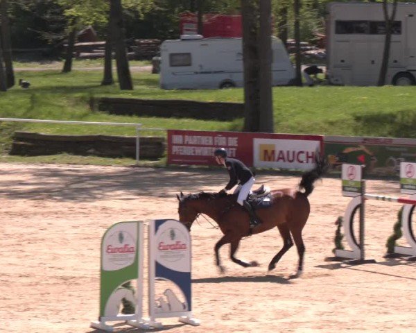 Internationales Springturnier Stadl-Paura 2025