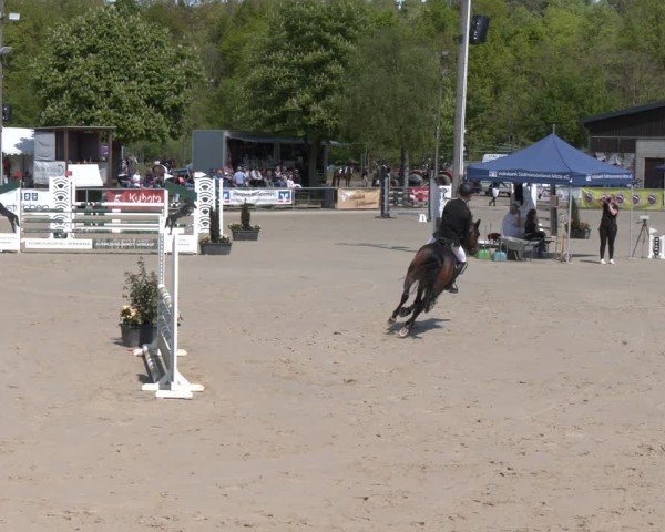 Reitturnier Olfen 2025