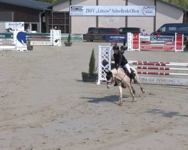 Reitturnier Olfen 2025