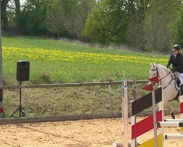 Reitturnier Altentrüdingen 2025
