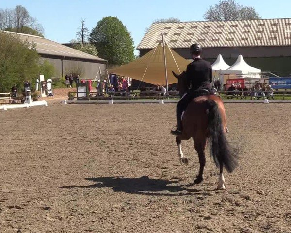 Reitturnier Kleinsolter Turniertage 2025