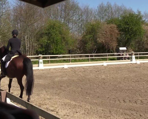 Reitturnier Kleinsolter Turniertage 2025