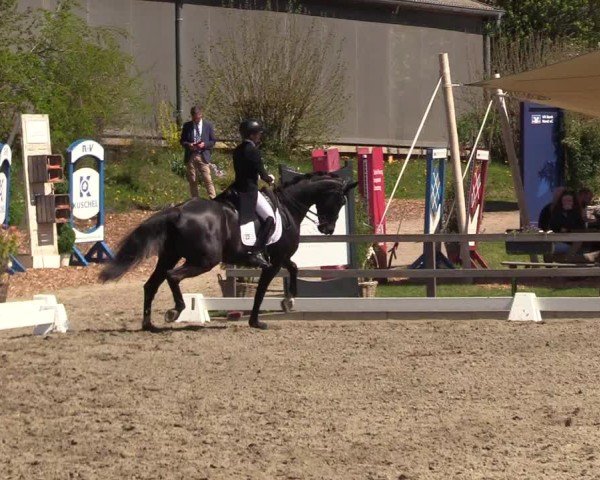 Reitturnier Kleinsolter Turniertage 2025