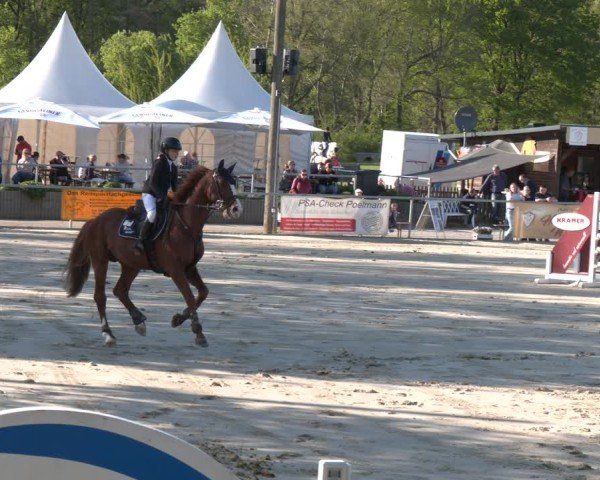 Reitturnier Olfen 2025