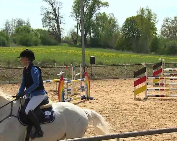 Reitturnier Altentrüdingen 2025