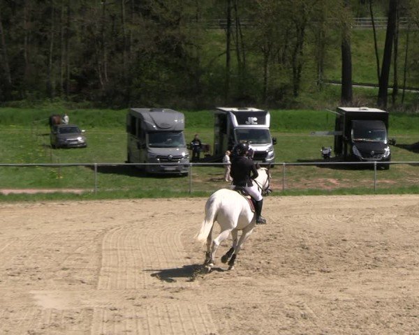 Reitturnier Bad Liebenstein 2025