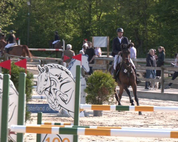 Reitturnier Nienberge 2025