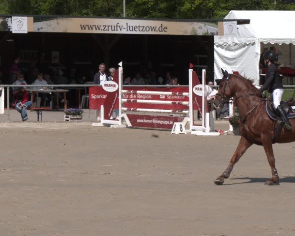 Reitturnier Olfen 2025