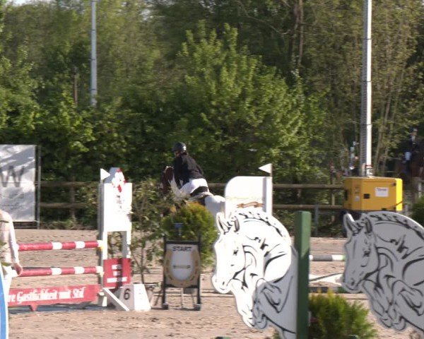 Reitturnier Nienberge 2025