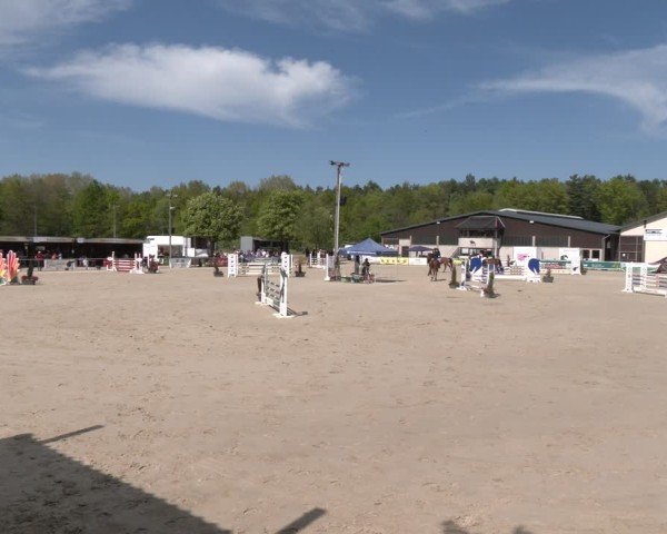 Reitturnier Olfen 2025