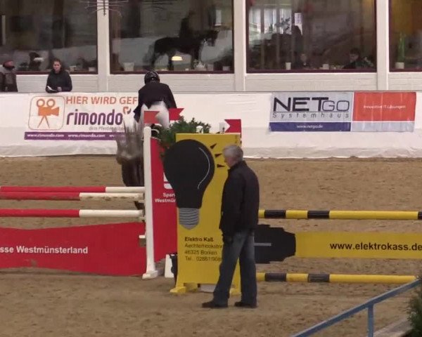 Hallenspringturnier in Borken 2014