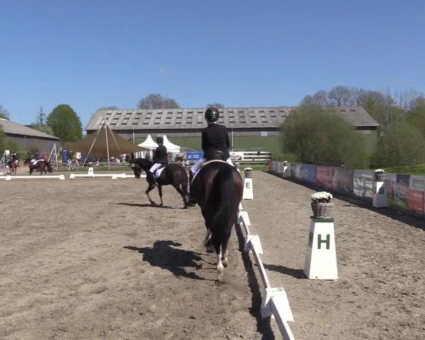 Reitturnier Kleinsolter Turniertage 2025