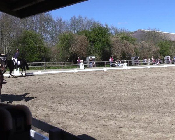 Reitturnier Kleinsolter Turniertage 2025