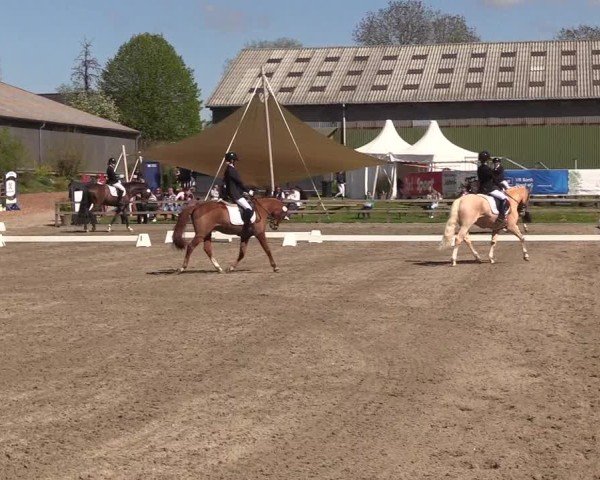 Reitturnier Kleinsolter Turniertage 2025