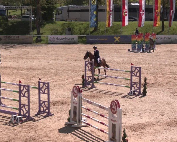 Internationales Springturnier Stadl-Paura 2025