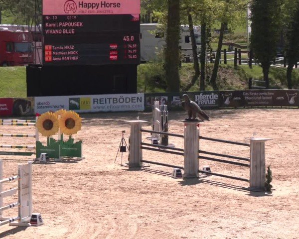 Internationales Springturnier Stadl-Paura 2025