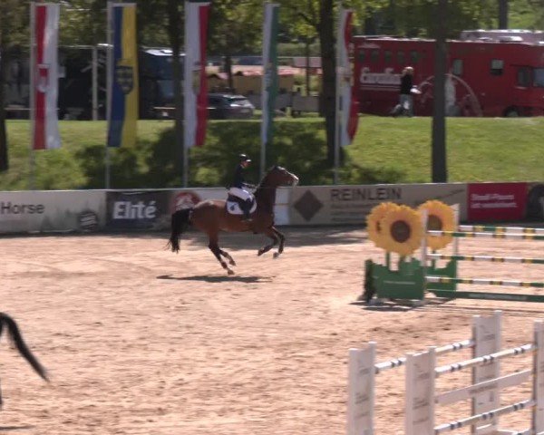 Internationales Springturnier Stadl-Paura 2025