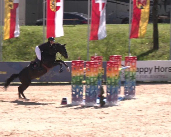 Internationales Springturnier Stadl-Paura 2025