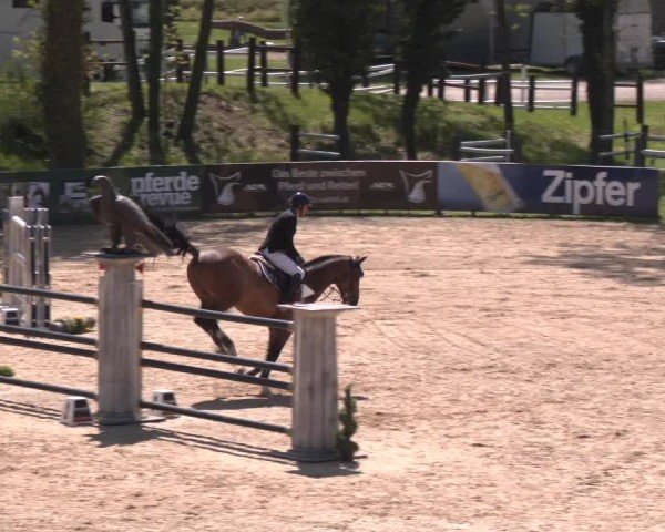 Internationales Springturnier Stadl-Paura 2025