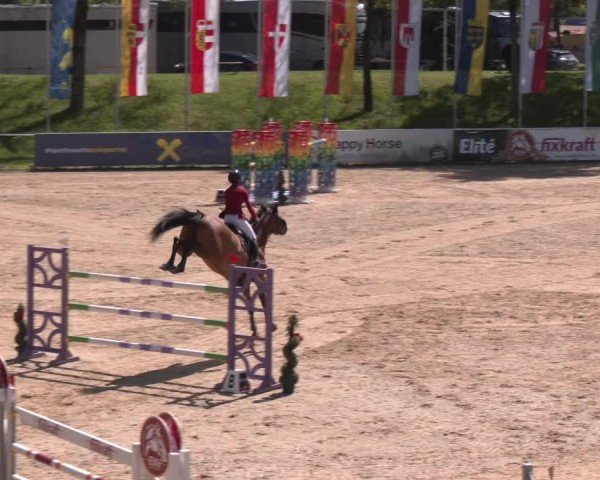 Internationales Springturnier Stadl-Paura 2025