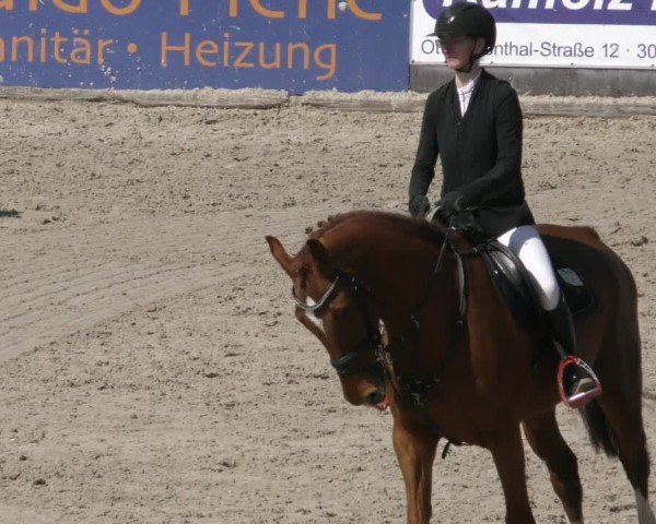 Reitturnier Harsum 2025