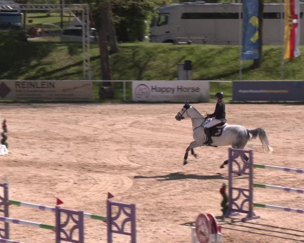 Internationales Springturnier Stadl-Paura 2025