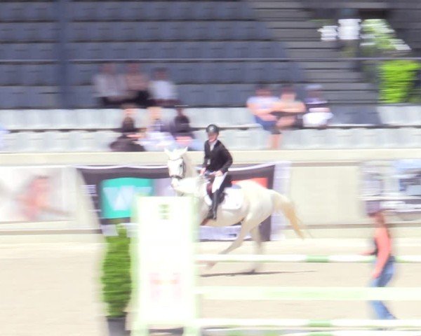 Reitturnier Aachen 2025