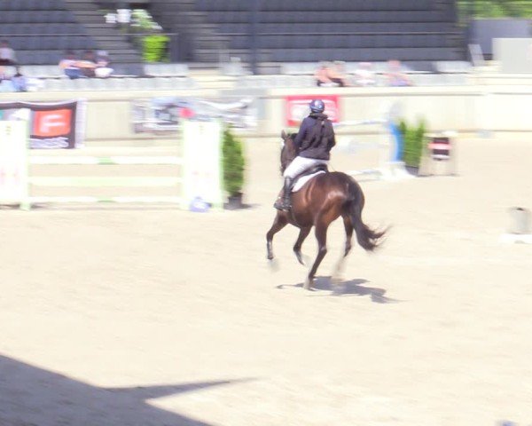 Reitturnier Aachen 2025