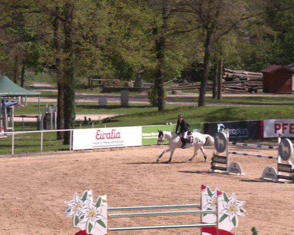 Internationales Springturnier Stadl-Paura 2025