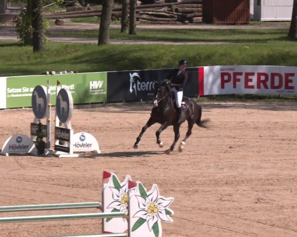 Internationales Springturnier Stadl-Paura 2025