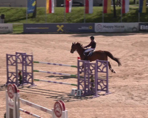 Internationales Springturnier Stadl-Paura 2025