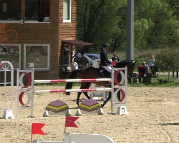 Reitturnier Bad Liebenstein 2025