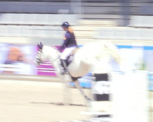 Reitturnier Aachen 2025