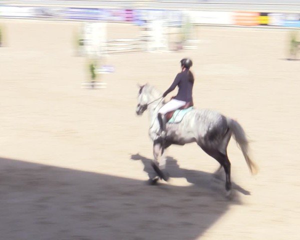 Reitturnier Aachen 2025
