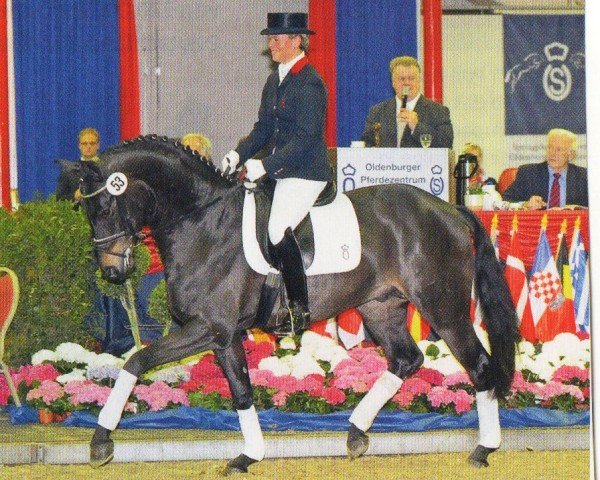 Pferd Sailor Moon (Oldenburger, 2006, von Sandro Hit)