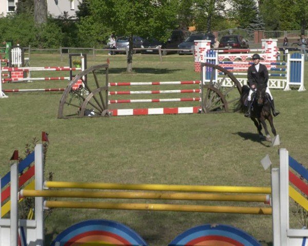 Reitturnier Luckau 2025