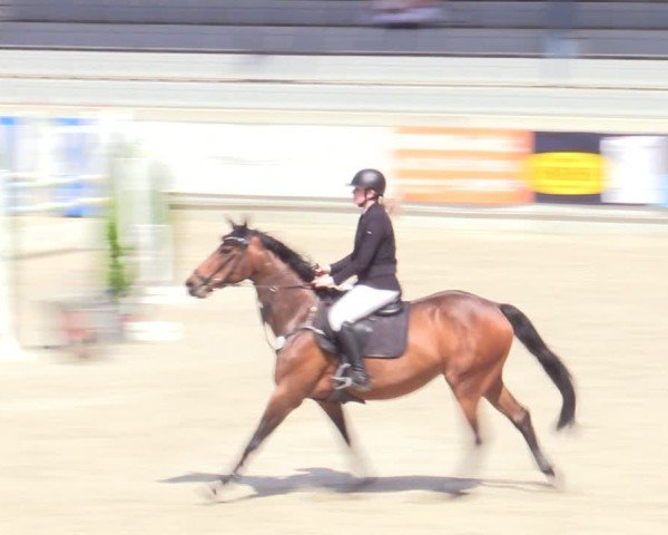 Reitturnier Aachen 2025