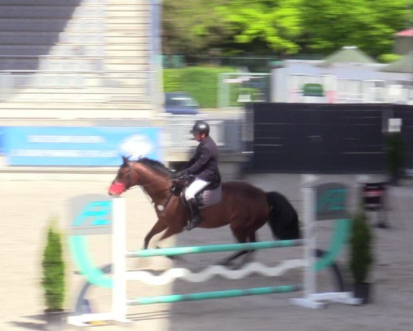 Reitturnier Aachen 2025