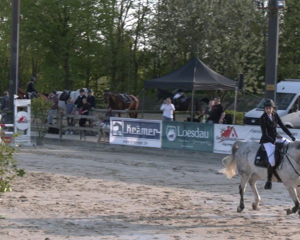 Reitturnier Nienberge 2025